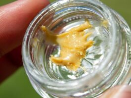 what is thca live rosin