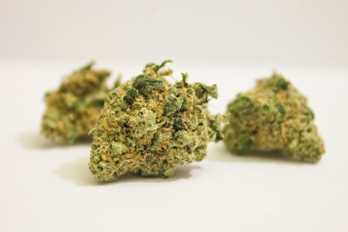 thca flower prices