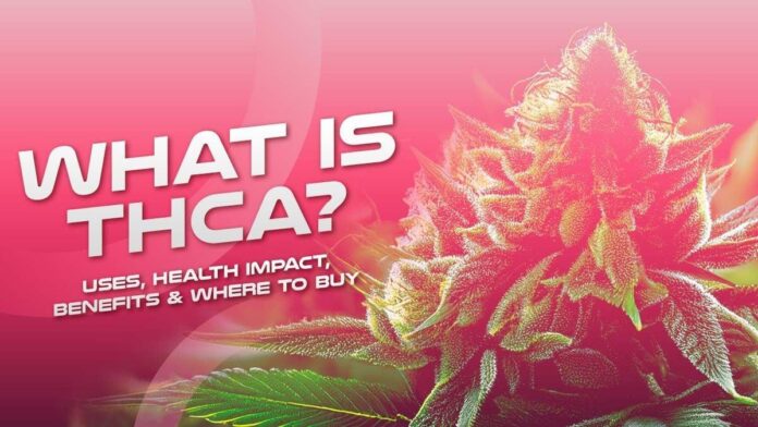 thca flower uses