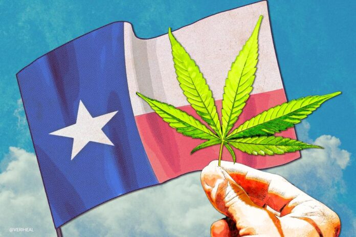 thca flower texas reddit