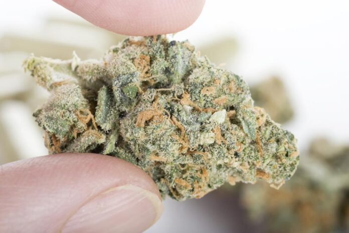 thca hemp flower uk