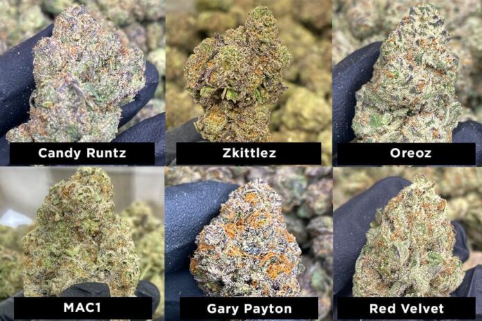 thca flower cheap bulk