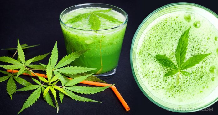 thca juice