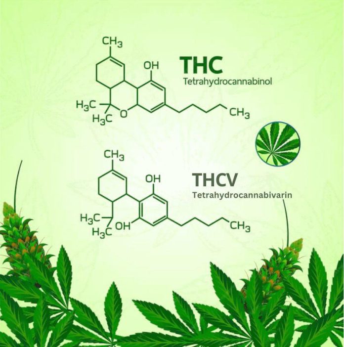 thcv pre rolls