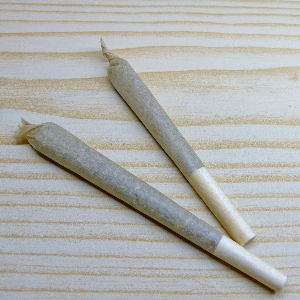 thca sauce pre rolls