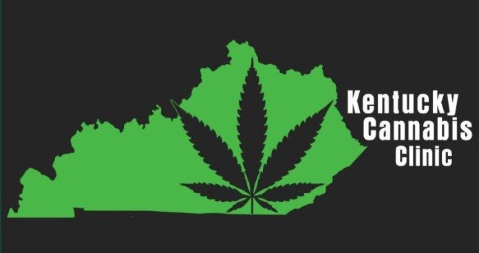 thca flower kentucky