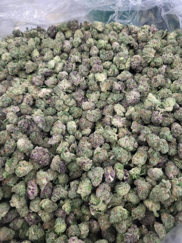 what is exotic thca flower