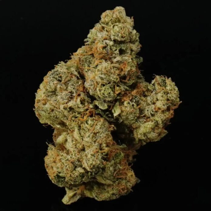 thca flower venera