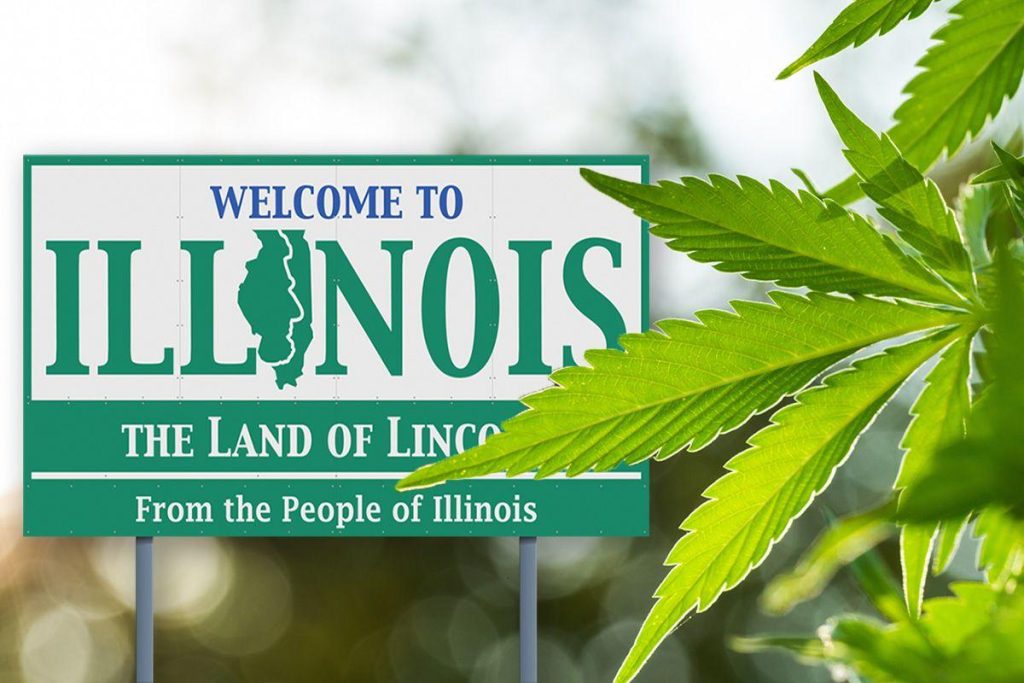 thca flower illinois