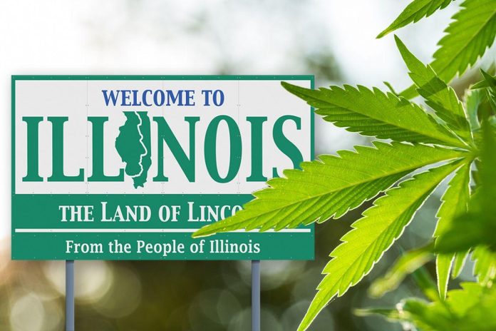 thca flower illinois