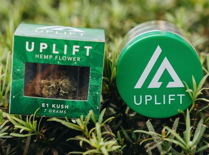 uplift thca flower