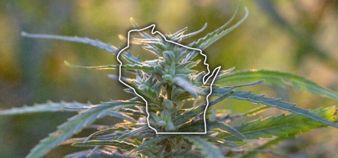 thca flower milwaukee
