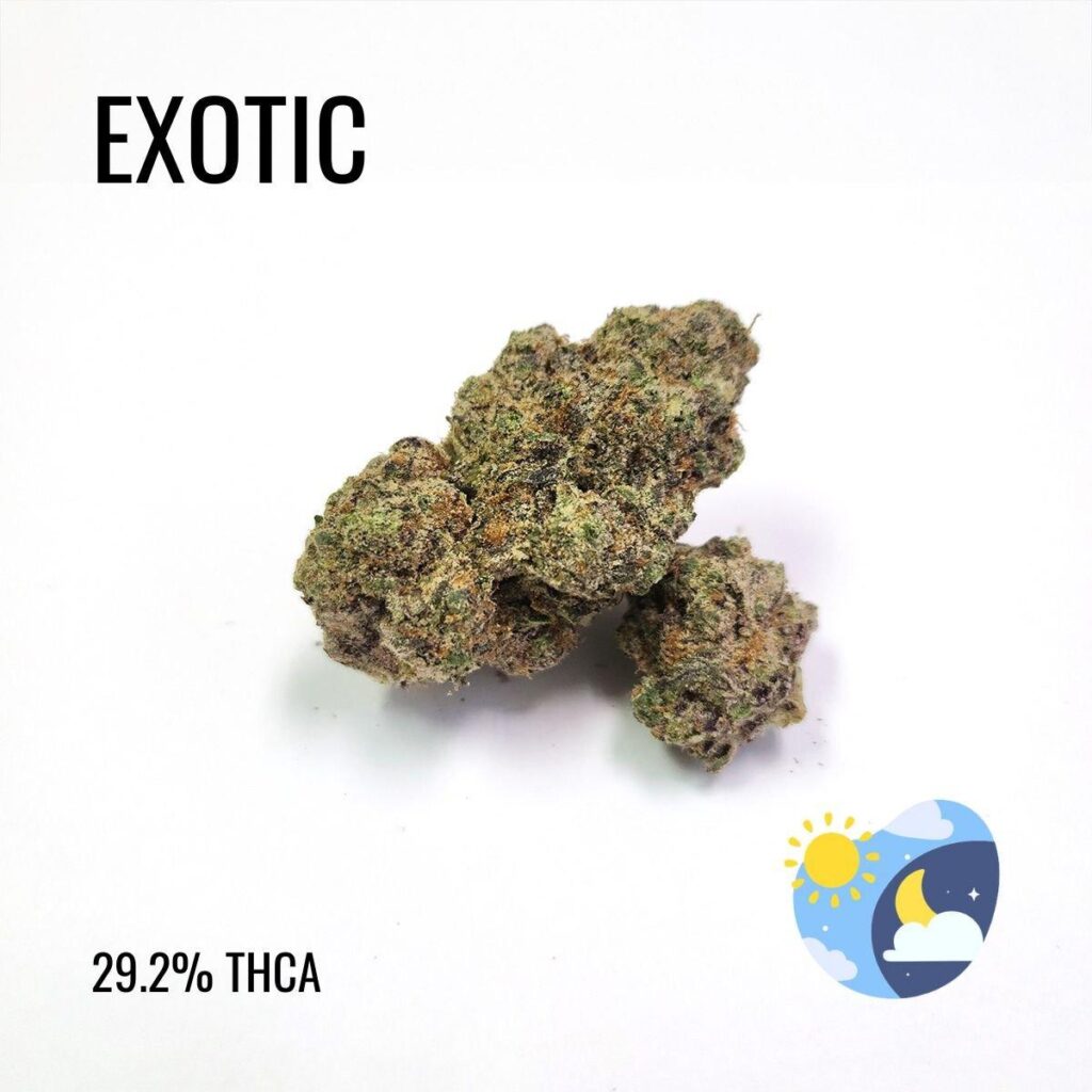 thca flower co