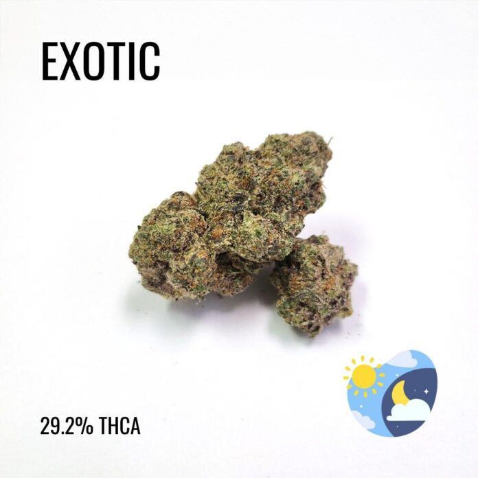 thca flower co