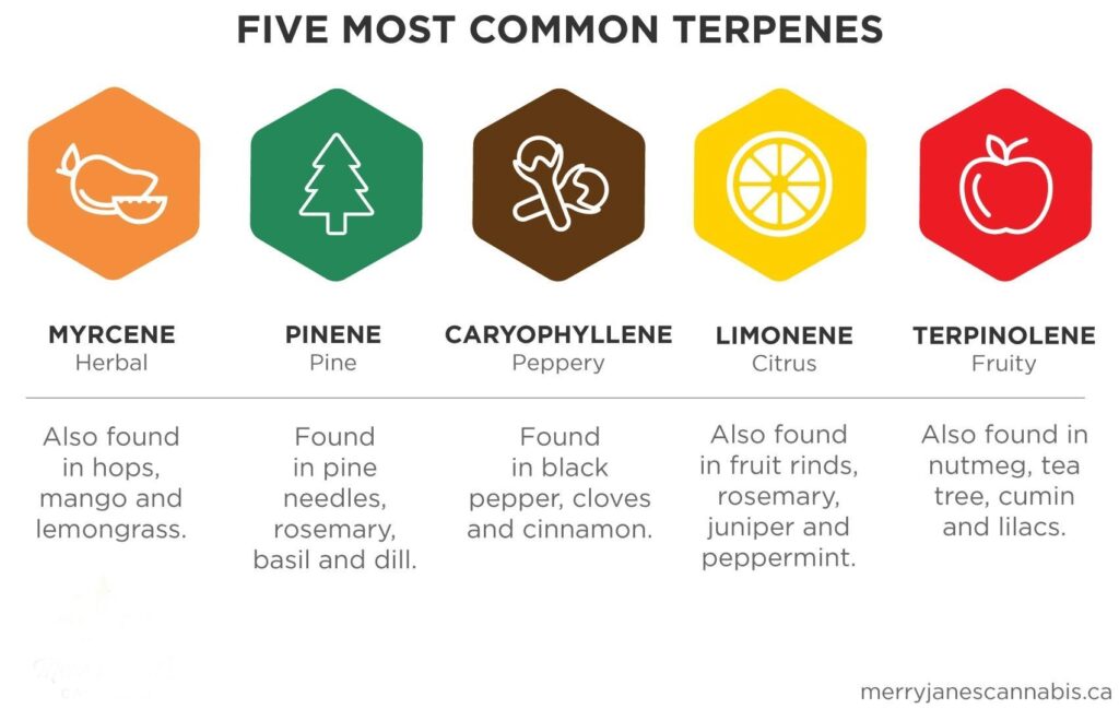 are terpenes safe to vape