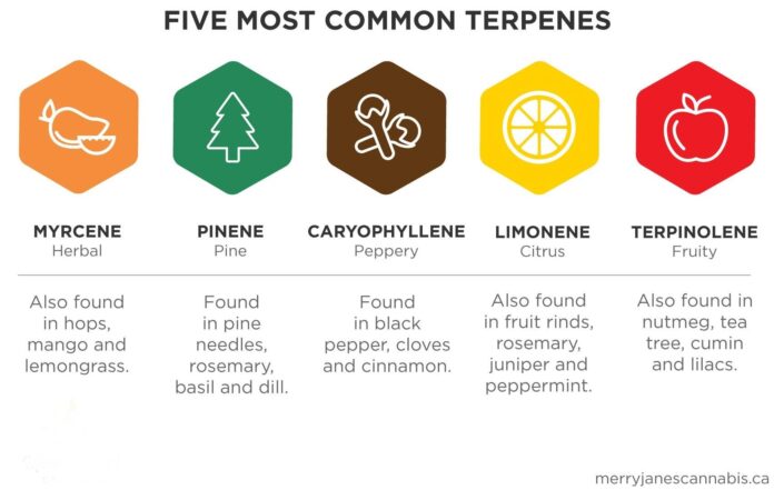 are terpenes safe to vape