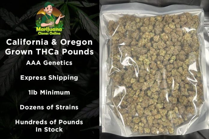 thca flower cheap qp