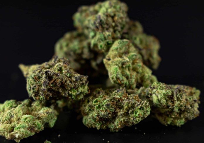 thca flower lbs