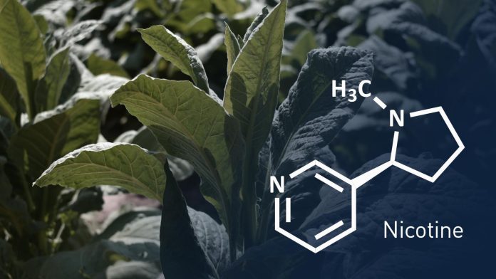 does nicotine affect vape flavor