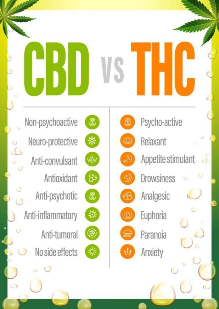 are thc gummies good for you