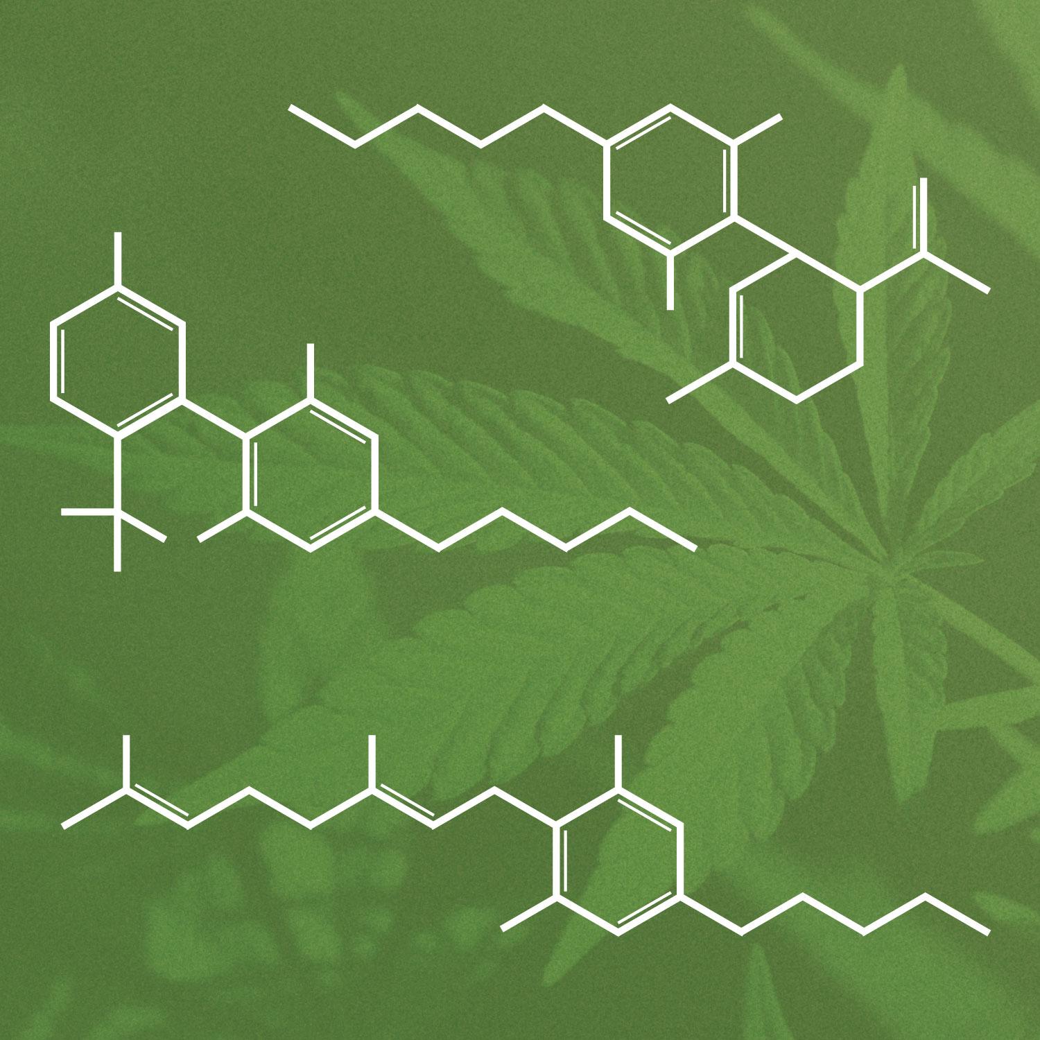 Top ‌Local Dispensaries: Where ⁤to Find Quality ‍THC in San‍ Antonio