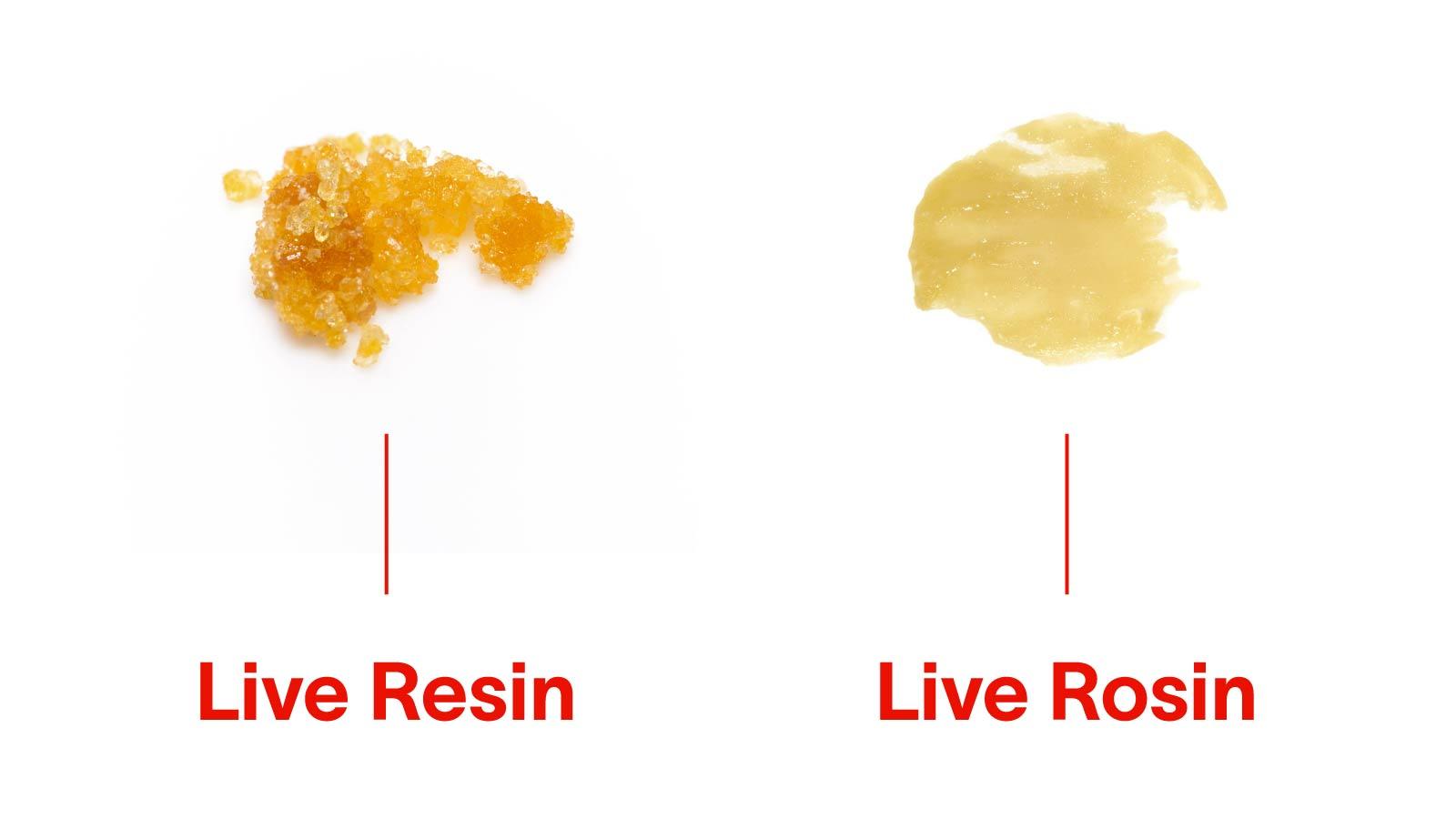 Flavor Profiles: How Processing Methods Influence​ Taste