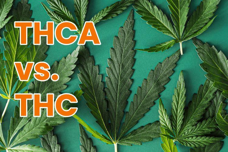 Exploring the‍ Science Behind THCA's Anti-inflammatory and Neuroprotective ​Effects