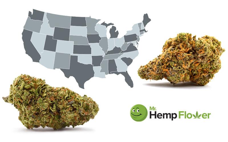 Future​ Outlook: Potential Changes to THCA ⁢Legislation in Indiana