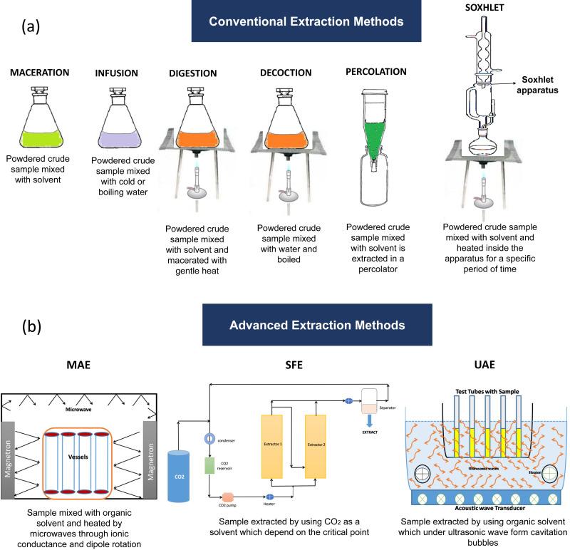 extraction Methods: ‌How They Differ and Impact Quality