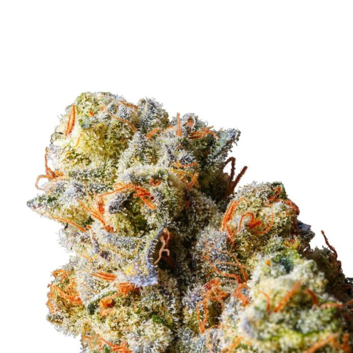 best thca hemp reddit