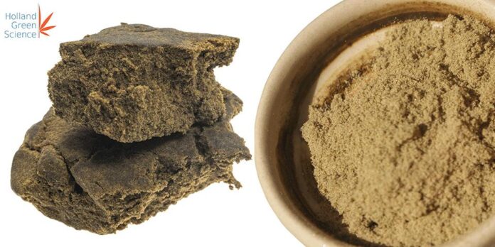 is rosin stronger than hash