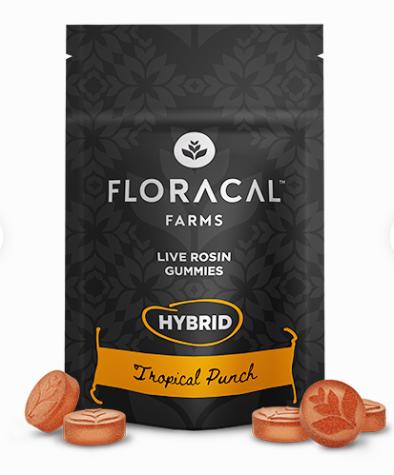 Unpacking the Flavor​ Profiles: A Sensory experience