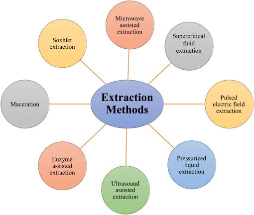 Exploring the Extraction Methods and Their Impact⁣ on​ Strength