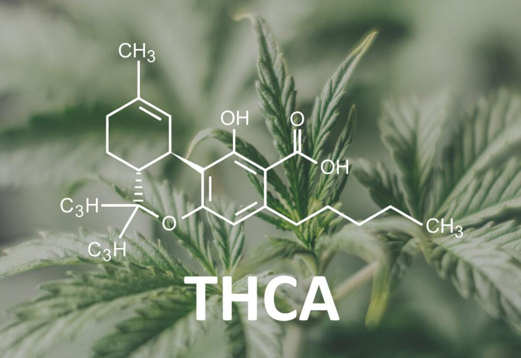 Safety First: What to ‌Consider​ Before ​Purchasing THCA ​Products