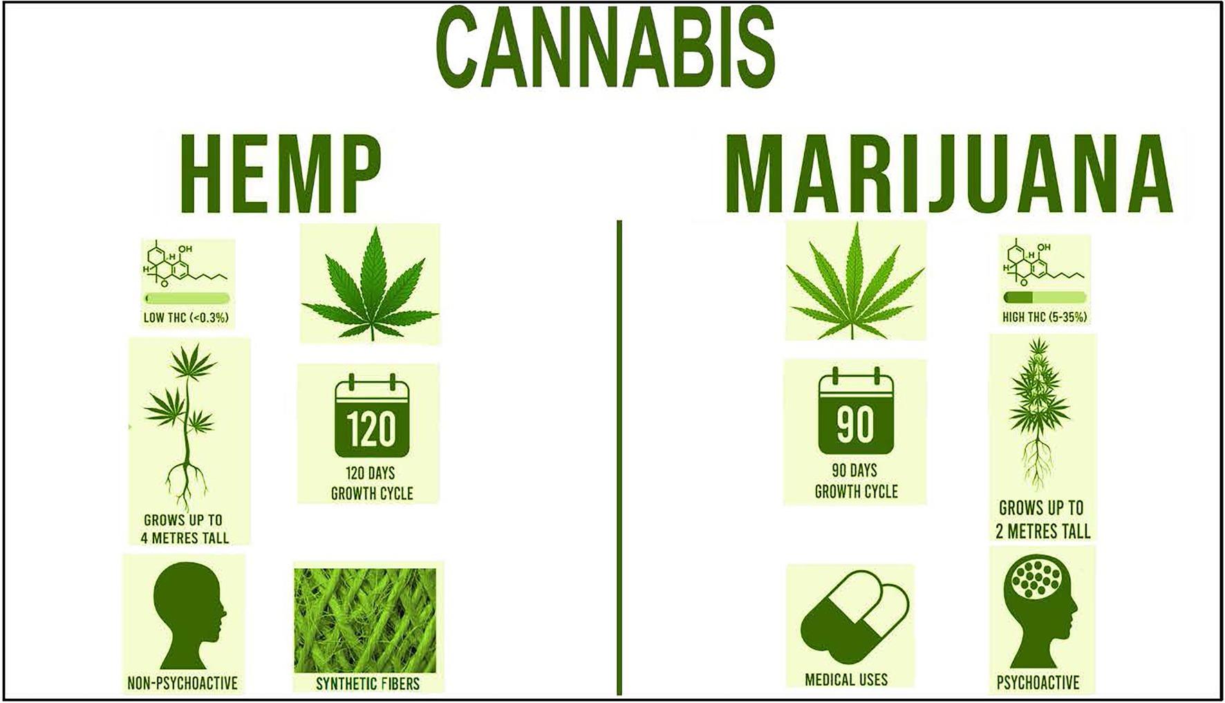 Exploring the Benefits of Non-Psychoactive Alternatives
