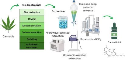 Post-Extraction: Purification⁣ and Refinement​ Tips