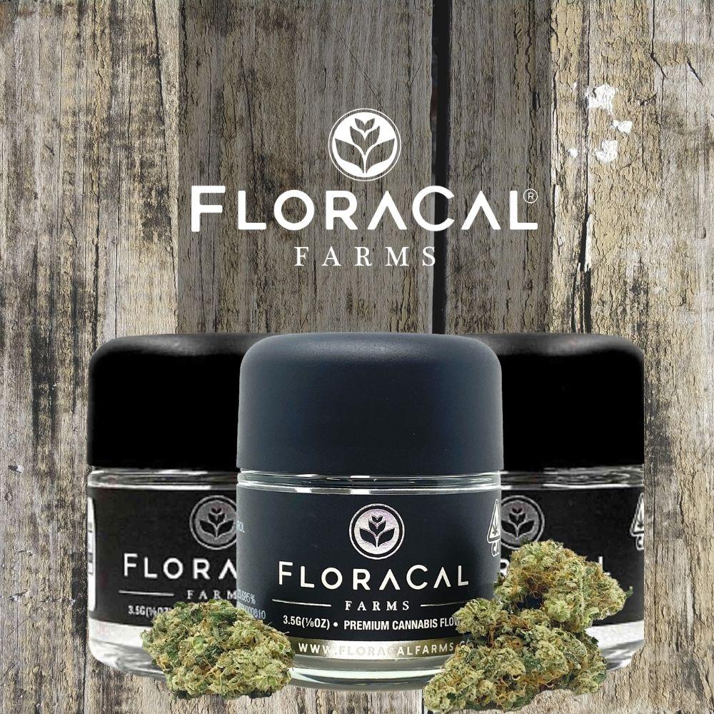 User Experiences: Feedback from Floracal's Customers