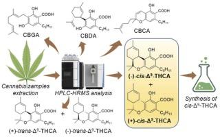 Future trends: The Evolving Landscape of THCA Research and Legislation