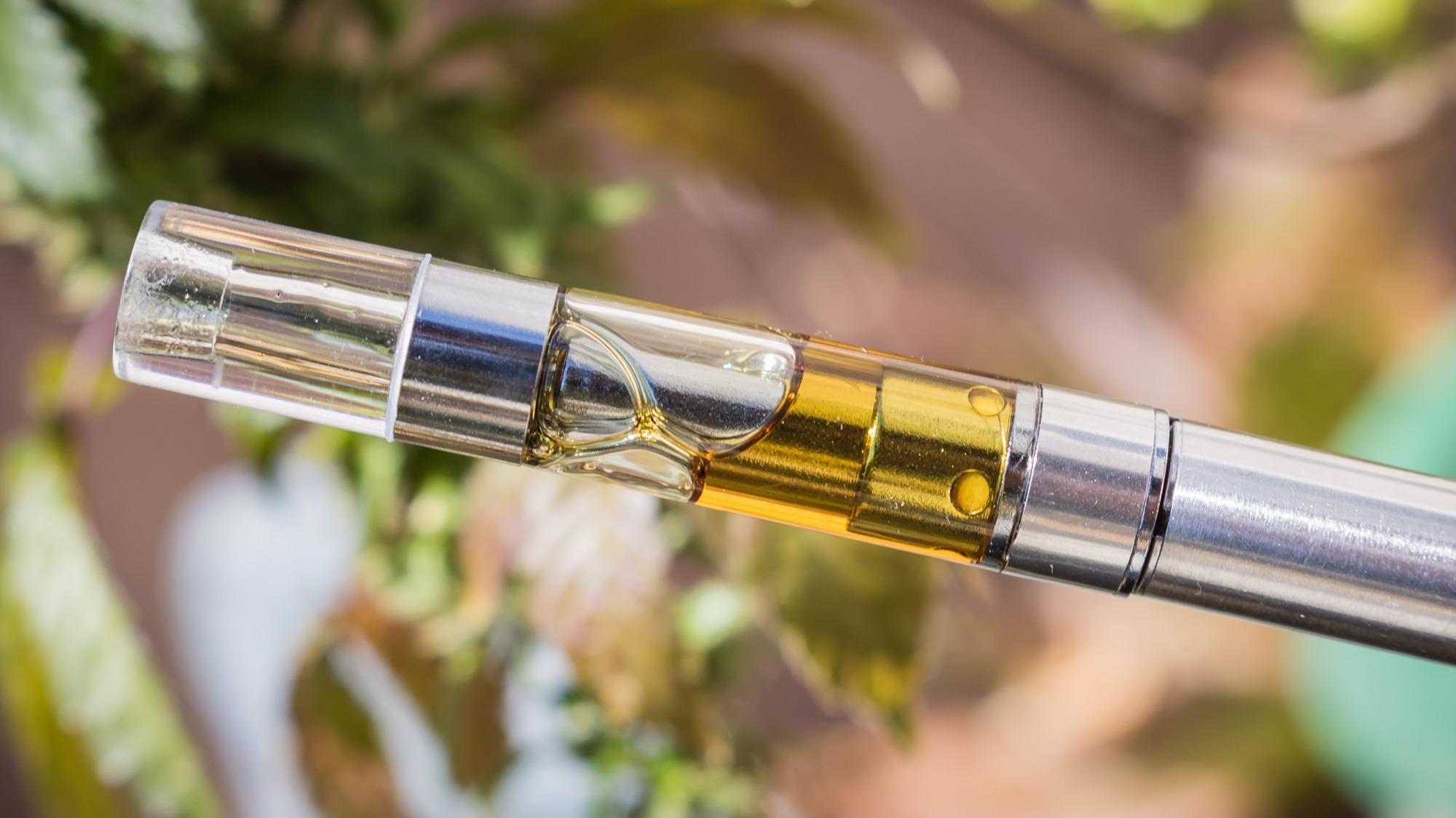 Recommendations for Top-Rated Dab Cart Brands on the Market