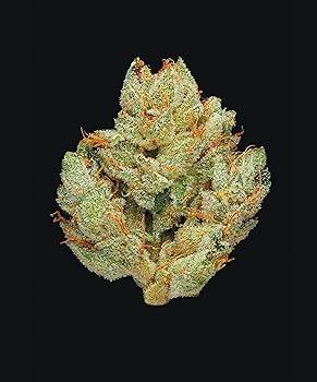 Choosing the‌ Right Strain: Factors Influencing THC Content