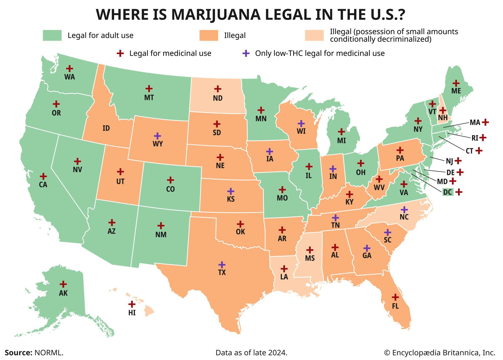 Current State Laws Regarding Cannabis and ‍THCA