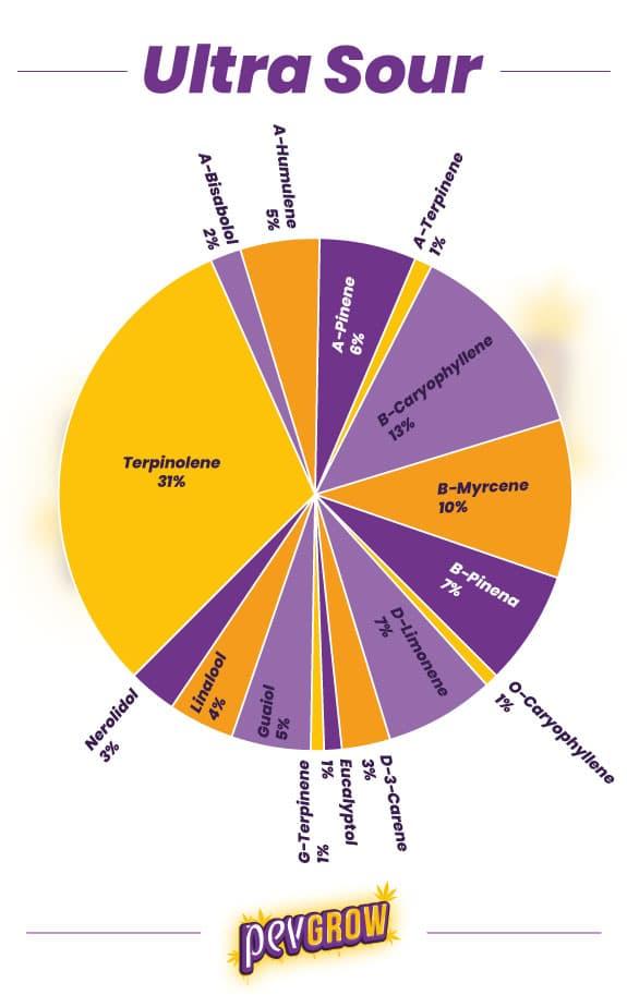 Exploring Flavor Profiles: The Terpene Variety in ‌live​ resin