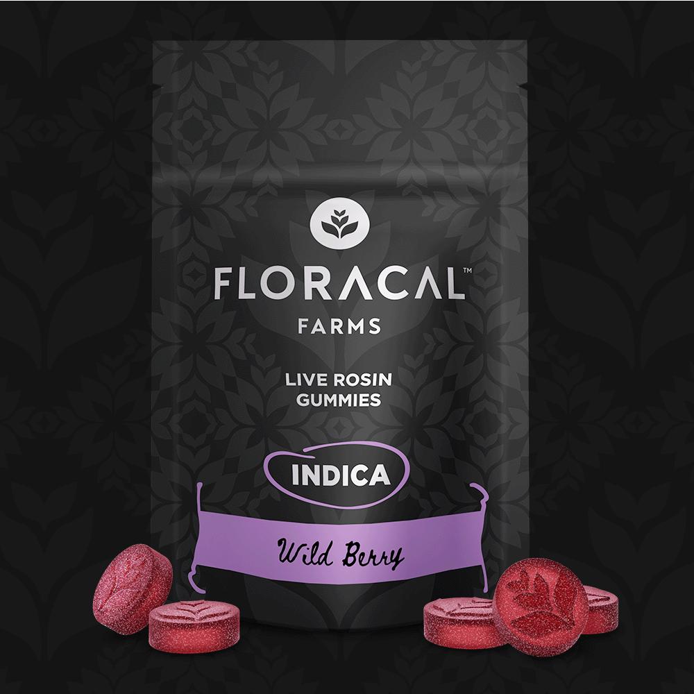 Exploring the Craftsmanship behind Floracal Rosin