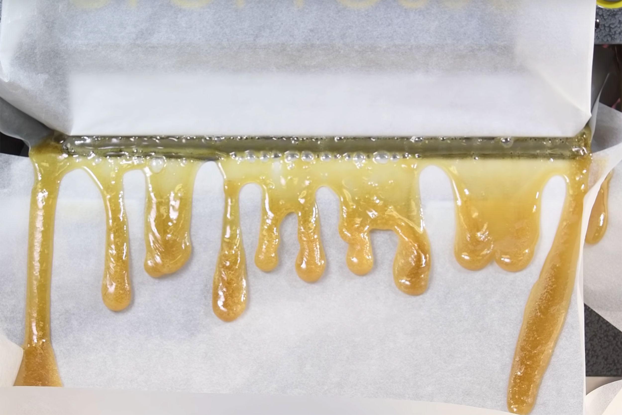 Exploring the Extraction Processes for Rosin and Live Rosin