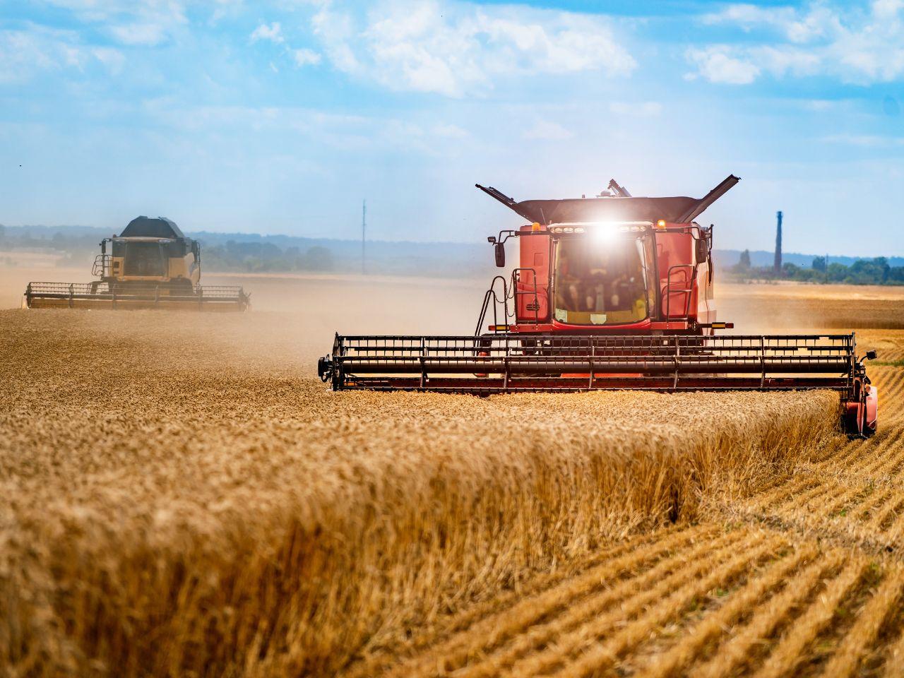 The Harvesting Process: Selecting⁣ the Right Plant Material