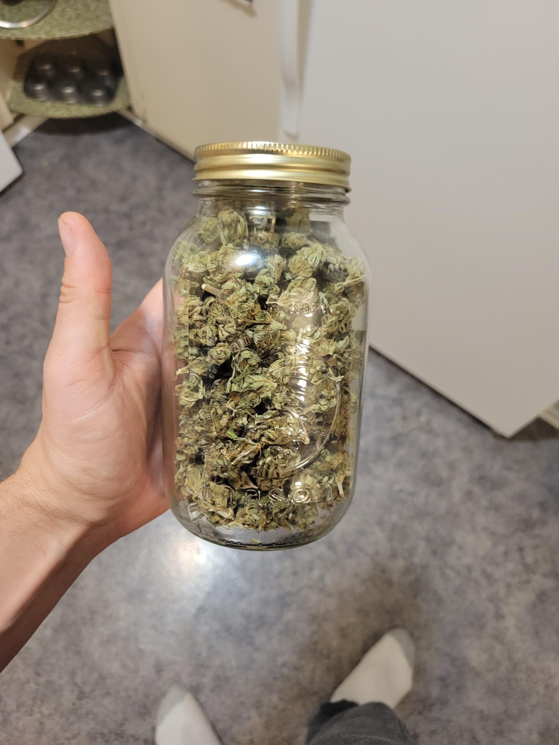 Essential Features to look for⁣ in a Hash Rosin Freezer