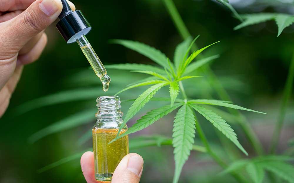 Understanding‌ THC Resin: The Science Behind ⁤its Extraction