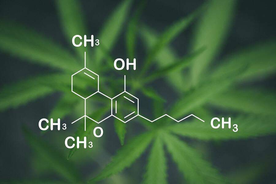 Understanding the Basics of THCA and‍ Its Natural Occurrence
