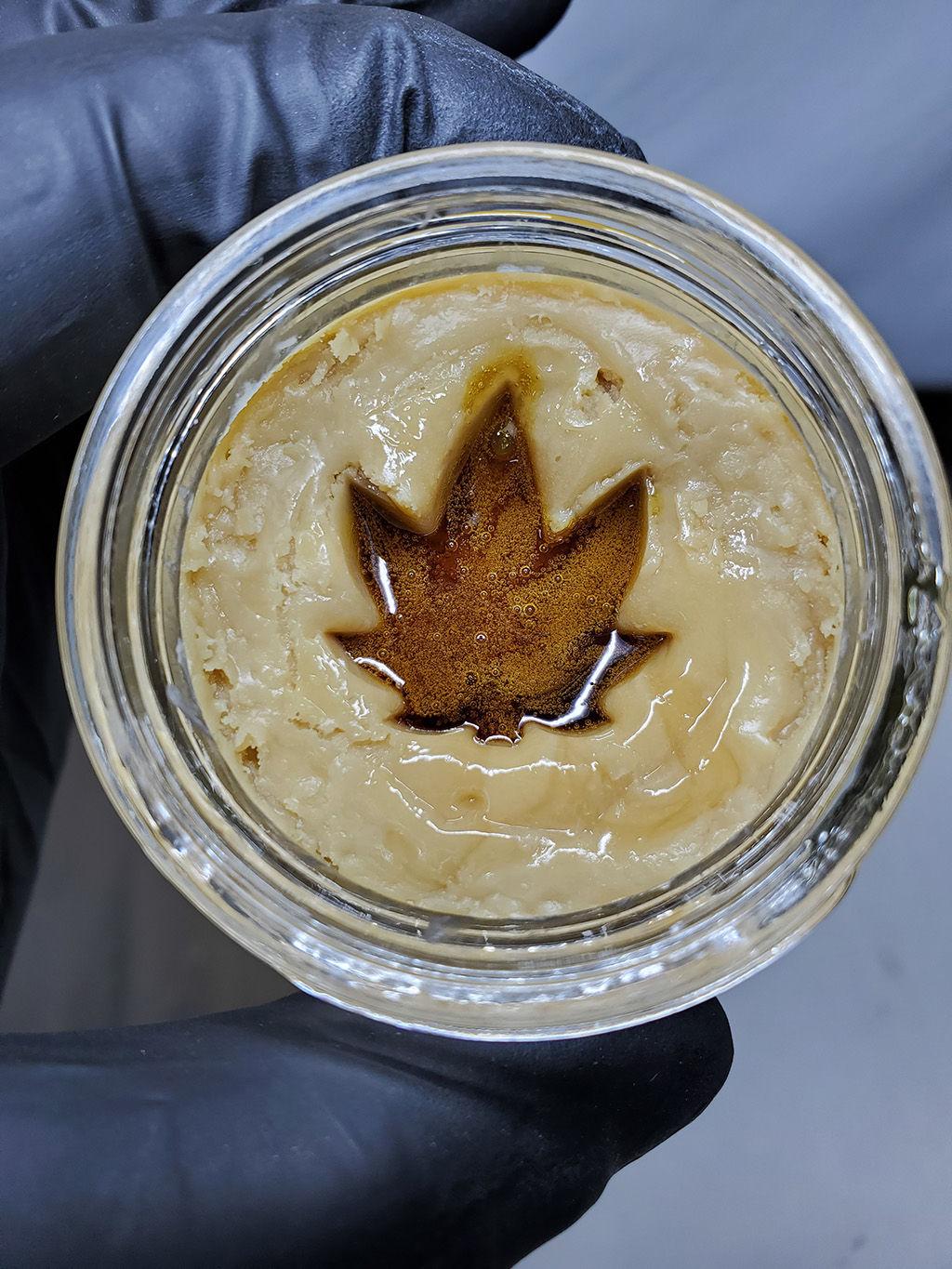Flavor Profile and Terpene Retention in Solventless Rosin