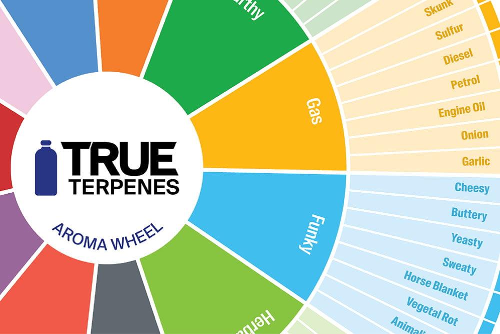 Understanding the Difference in Terpene Profiles and flavor Experiences